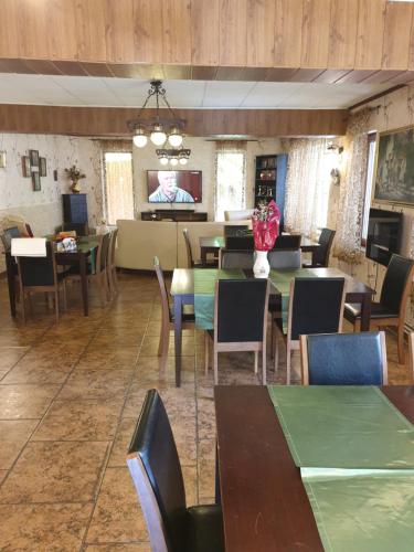 Vila Bianca Dragusin - image 14