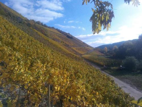 Hotel und Weingut Karlsmühle