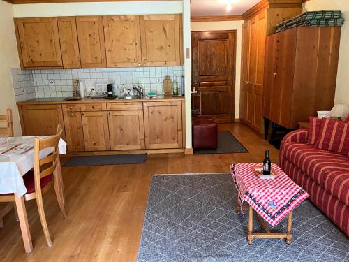 Studio - La Vièze Thermes Park, Val dʼIlliez (Foto 4)