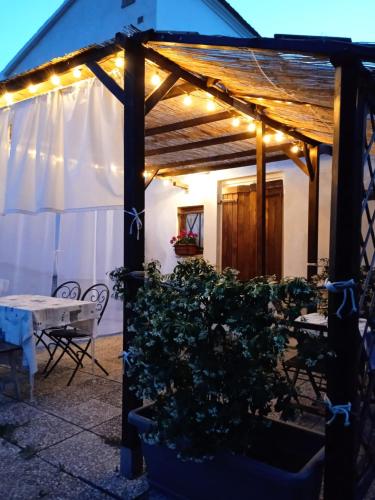  Sotto l'Ulivo in Mondavio