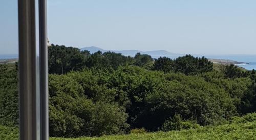 Emilia Primero, Lariño