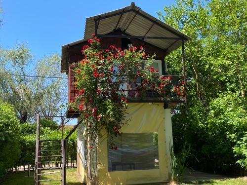 . Aqua Bella Apartman