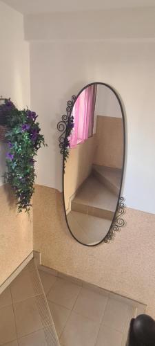 Vila Maslina Guesthouse - image 7