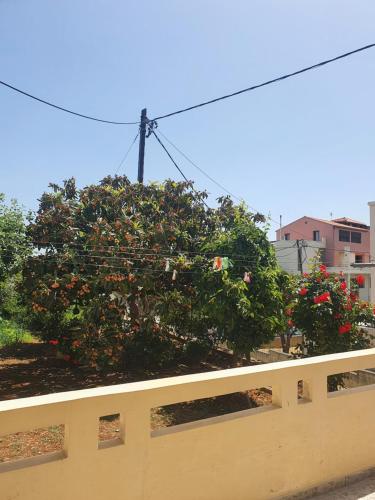 Garden, Chania Casa Portokali in Theriso