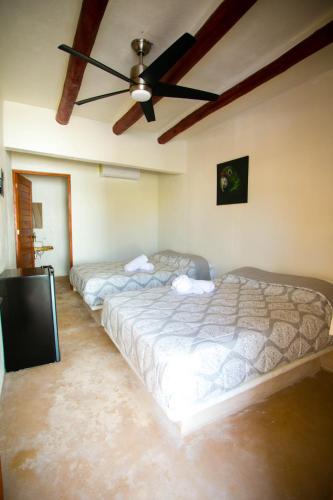 2 double beds