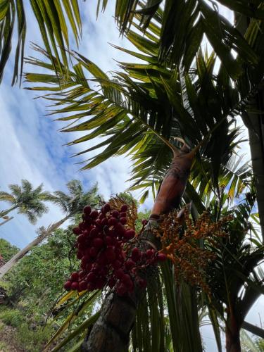 A szálláshely kívülről, Hawaii Getaway in Honalo (HI)