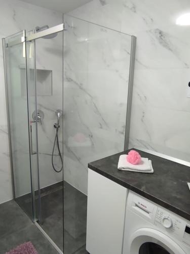 Apartman Koko with private jacuzzi