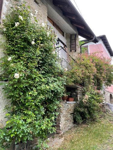 Orbregno Country Houses with Personal Wine Cellar in Prasco