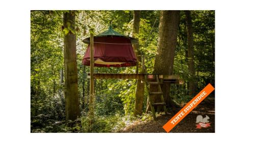Woody Park - image 12