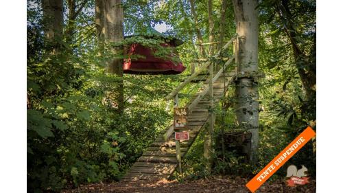 Woody Park - image 3