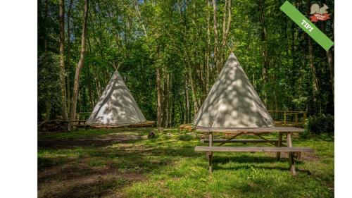 Woody Park - image 10