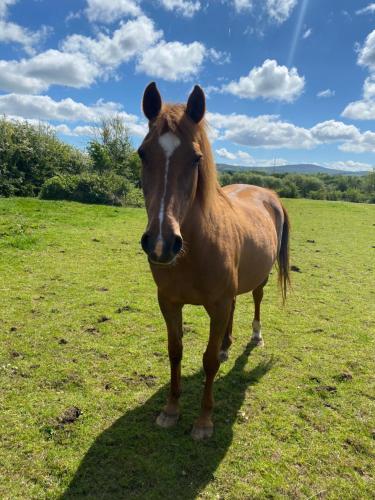 The Rocks B&B - image 4