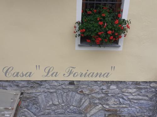 Casa la foriana - Carema