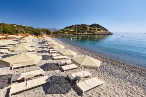 Blue Marine Resort and Spa Hotel - All Inclusive - image 4