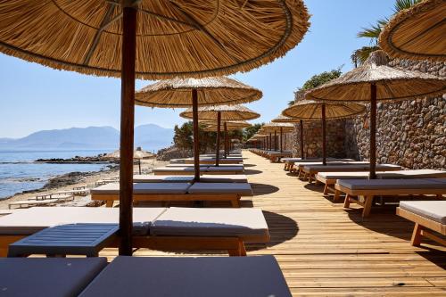 Blue Marine Resort and Spa Hotel - All Inclusive - image 14