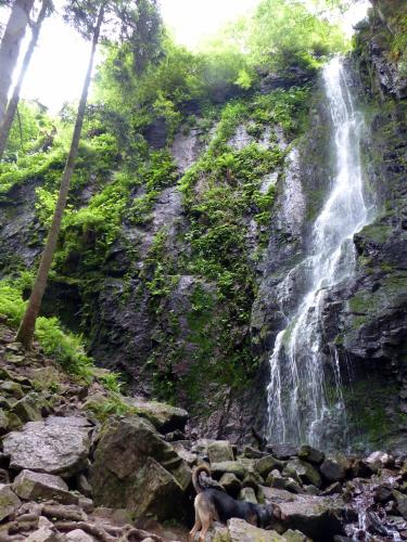 Schwarzwald-Ferienwohnungen Begert - image 7