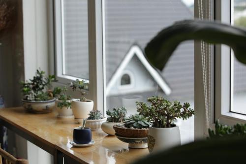 共用Lounge/電視區