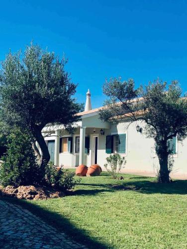 Olive Villa in Franqueira