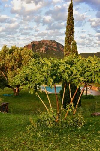 L'Albaida, tranquility, views of sea and mountains