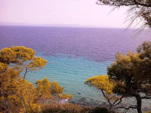 Sea view 4 bedroom house with pool and garden gîte à louer Néa Fókaia