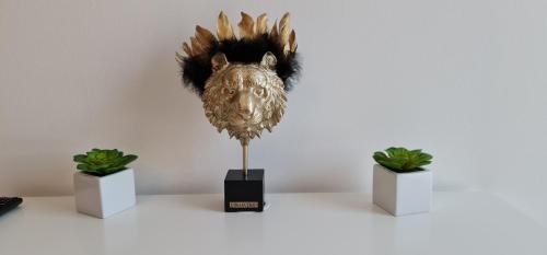  TokiTakai Collection in Padua