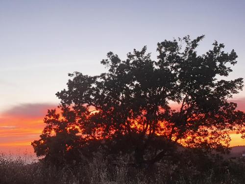 Agriturismo Le Terre di Veneré