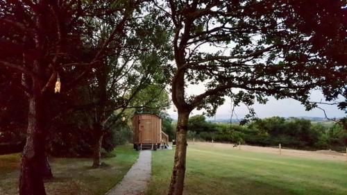 Hare's Hut 5