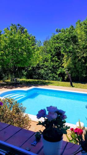 Studio dans la Villa les Cigales - Location saisonnière - Lézignan-Corbières