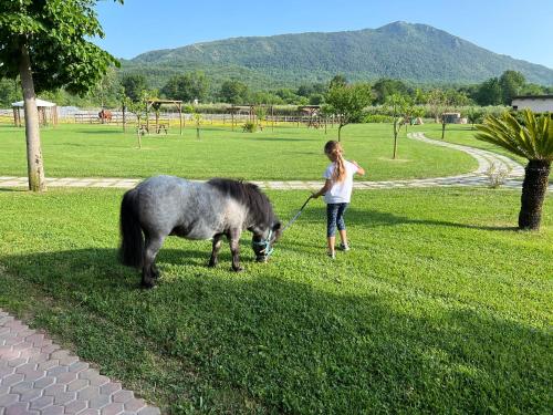 Family Farm Soc. Agr. a r.l.