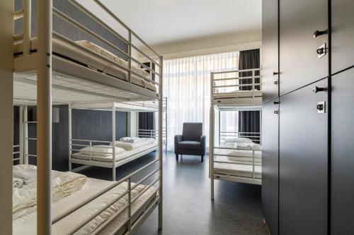 Bed in 6-Bed Dormitory Room