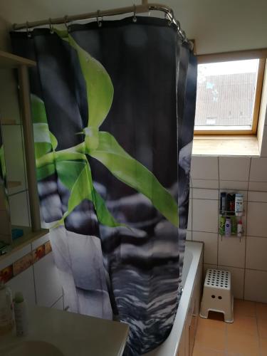 Doppelhaushälfte mit Garten in Linz, Österreich
