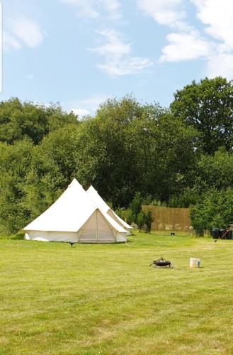 Glamping in the Kent weald nr Tenterden Spacious quite site up to 6 equipped tents, each group has t in High Halden