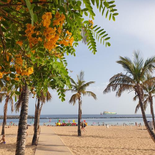  San Andres Beach Apartment in San Andrés