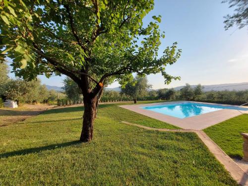 Centrally located for the cities of art in Tuscany in a picturesque area