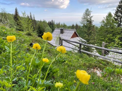 Velika planina Chalet SLOVENKA