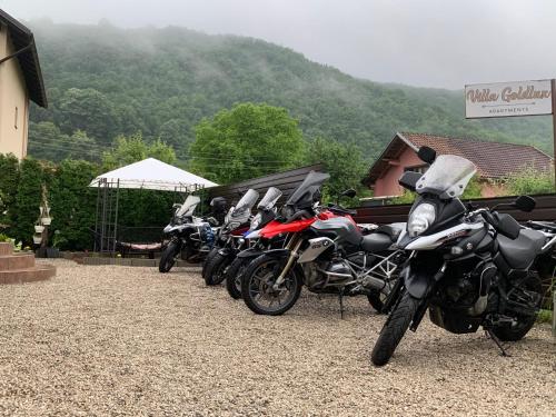 Villa Goldlux - image 9