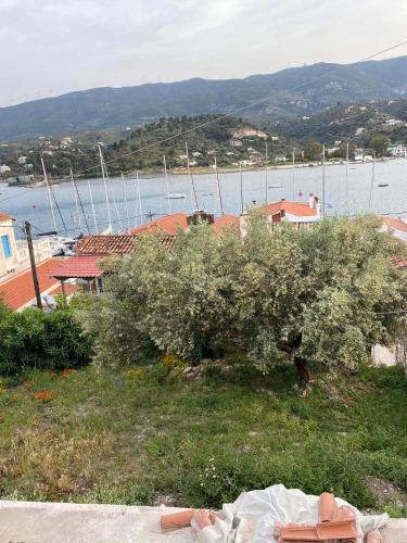 Vila aggeliki gîte à louer Ormískos Voreiarniá