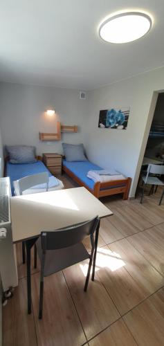 Noclegi Silesia ASTER - Accommodation - Tychy