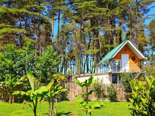 House & Yard Sesil Forest 90m to beach Kaprovani, Ureki (photo 4)
