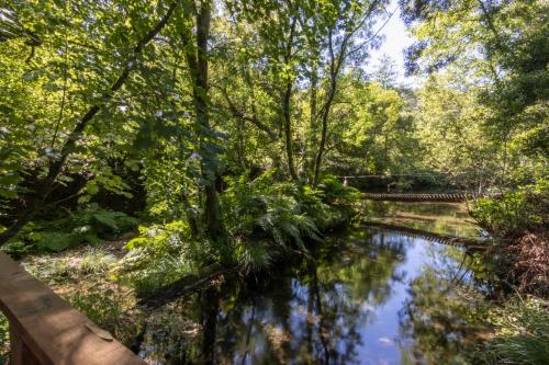 Riba Rio - Unique Nature Spot
