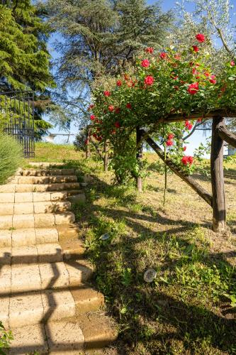 Agriturismo Bellandi