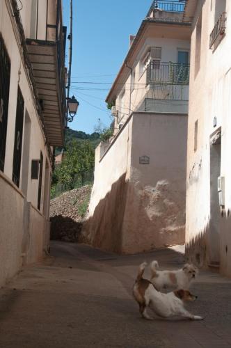 CASA BEATLES DEL VALLE