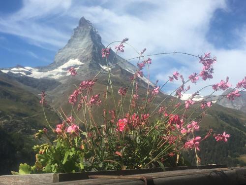 Apartment Samira, Zermatt (photo 6)