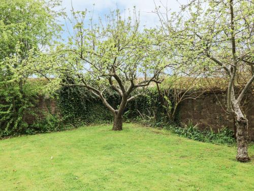 The Cider Loft