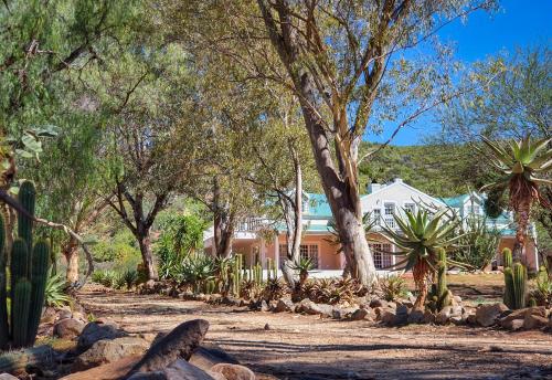 Berluda Farmhouse and Cottages in Oudtshoorn