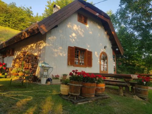 B&B Szőlősgyörök - Landhaus mit Weinkeller - Nádas Pince - Bed and Breakfast Szőlősgyörök