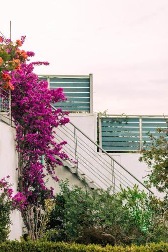 Aries Villas - image 9