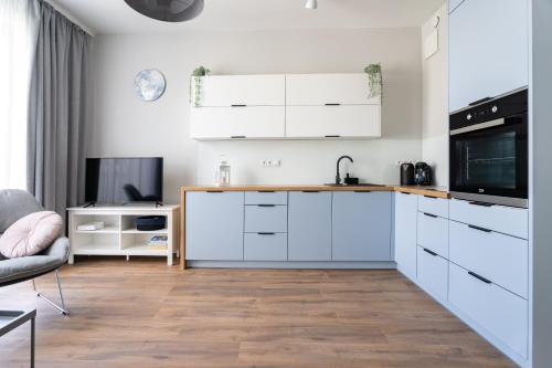One-Bedroom Apartment image 8