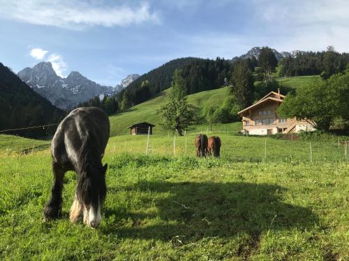 Au Pré des Chevaux in Chateau-dOex, Schweiz