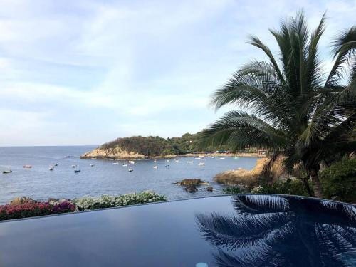 Infinity pool with spectacular views of the Pacific Ocean, Puerto Escondido (foto 2)